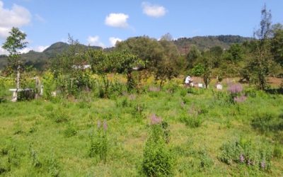 Yeşil Gazete / İklim Dostu Çiftlikler Projesi başladı