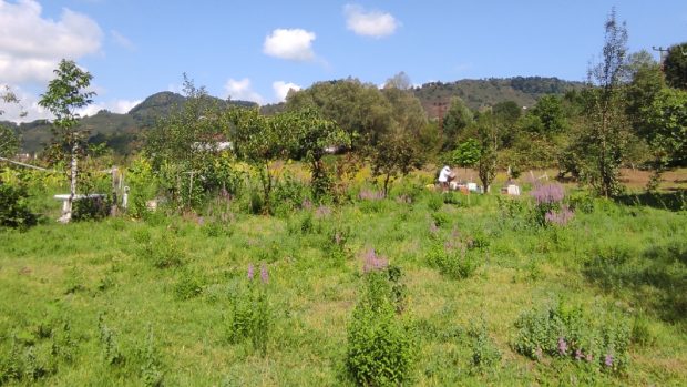 Yeşil Gazete / İklim Dostu Çiftlikler Projesi başladı