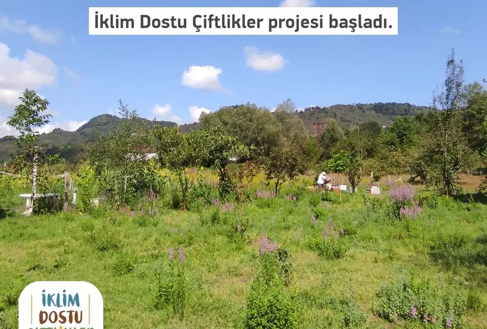 Agroworld Dergisi / Buğday Derneği’nin İklim Dostu Çiftlikler Projesi