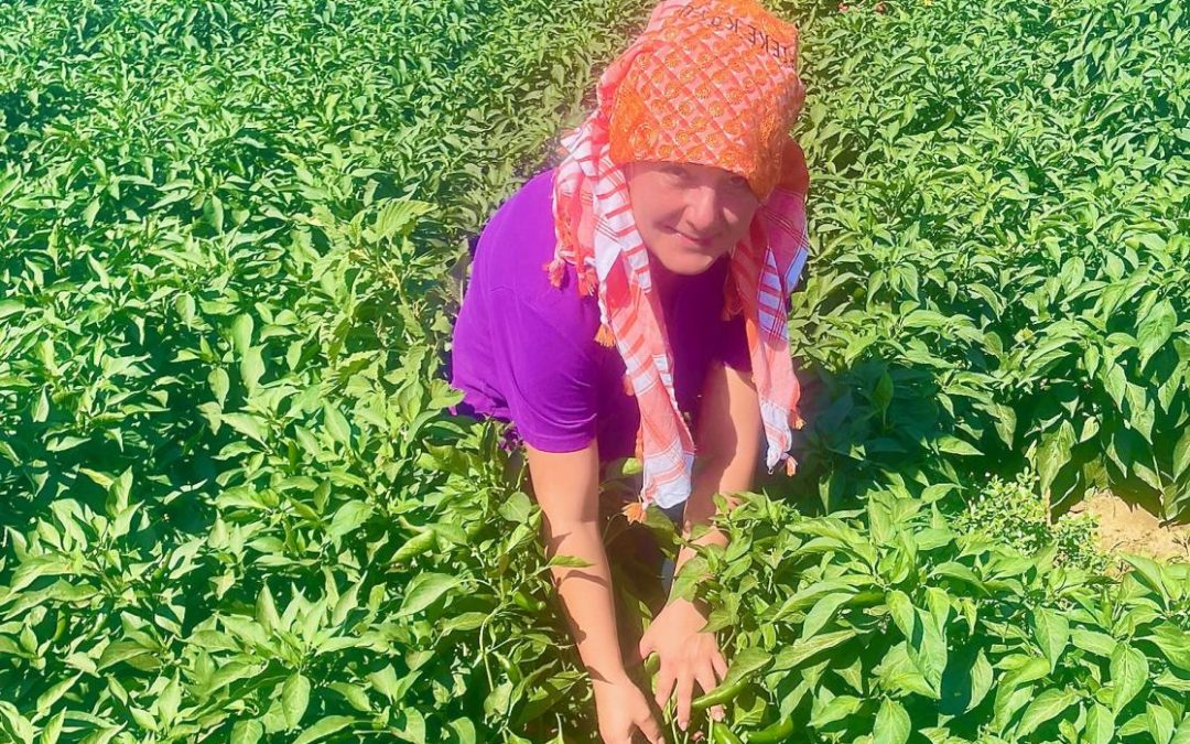 Köklere Dönüş: İklim Dostu Tarım İzmirli Üreticileri Nasıl Dirençli Hale Getiriyor?