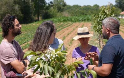 Köklere dönüş: İklim dostu tarım İzmirli üreticileri nasıl dirençli hale getiriyor?
