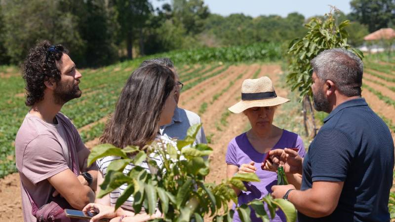 Köklere dönüş: İklim dostu tarım İzmirli üreticileri nasıl dirençli hale getiriyor?