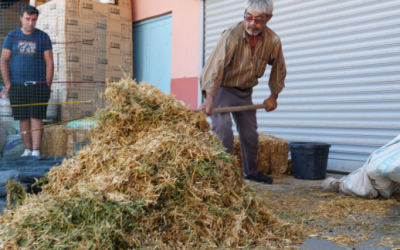 İklim Dostu Çiftlikler için Çalışmaya Devam Ediyoruz