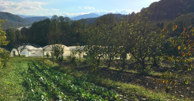 İklim Dostu Tarım İçin Dönüşüm Başladı