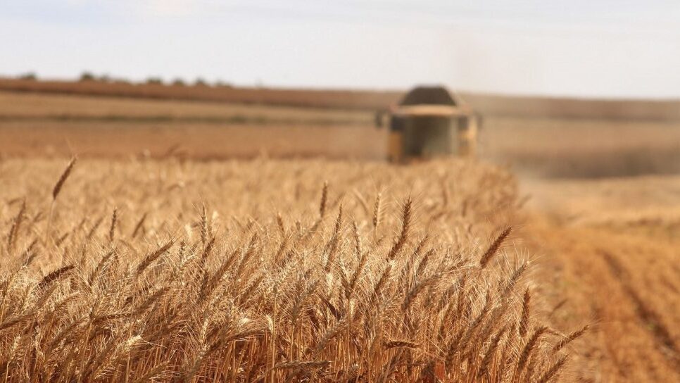İklim krizinden gıda krizine giden yol kısalıyor