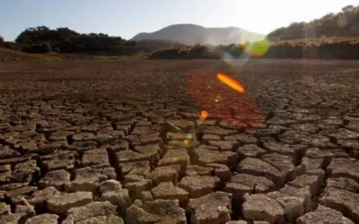 İklim krizinden gıda krizine giden yol kısalıyor
